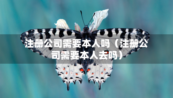 注册公司需要本人吗（注册公司需要本人去吗）