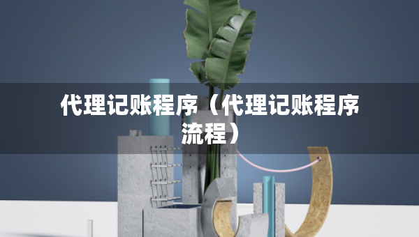 代理记账程序（代理记账程序流程）