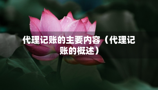 代理记账的主要内容（代理记账的概述）