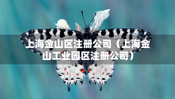 上海金山区注册公司（上海金山工业园区注册公司）