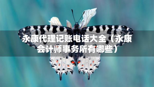 永康代理记账电话大全（永康会计师事务所有哪些）