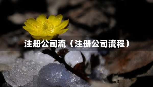 注册公司流（注册公司流程）
