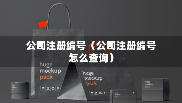 公司注册编号（公司注册编号怎么查询）