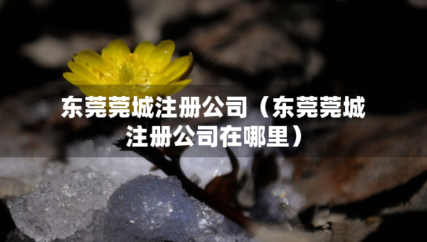 东莞莞城注册公司（东莞莞城注册公司在哪里）