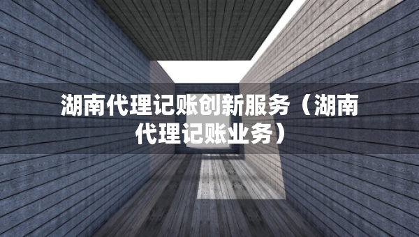 湖南代理记账创新服务（湖南代理记账业务）