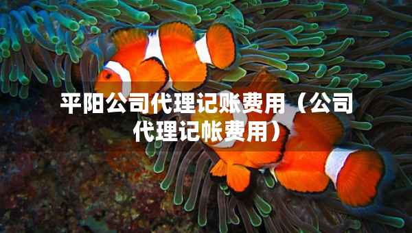 平阳公司代理记账费用（公司代理记帐费用）