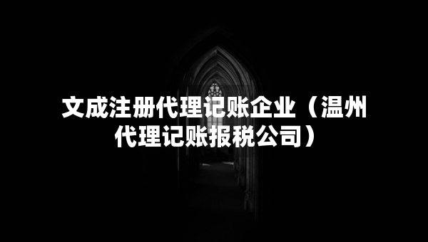 文成注册代理记账企业（温州代理记账报税公司）