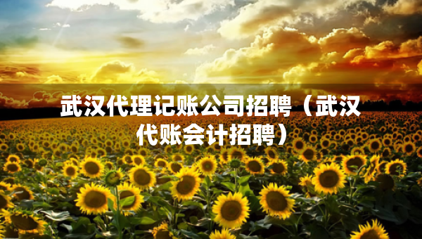 武汉代理记账公司招聘（武汉代账会计招聘）