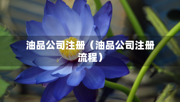 油品公司注册（油品公司注册流程）