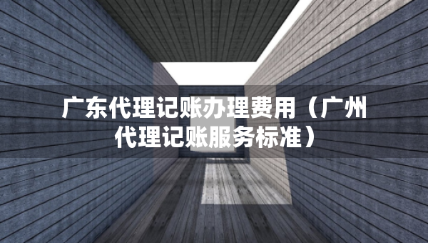 广东代理记账办理费用（广州代理记账服务标准）