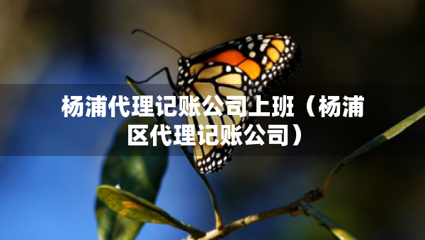 杨浦代理记账公司上班（杨浦区代理记账公司）