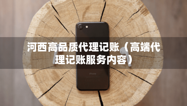 河西高品质代理记账（高端代理记账服务内容）