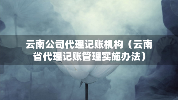 云南公司代理记账机构（云南省代理记账管理实施办法）