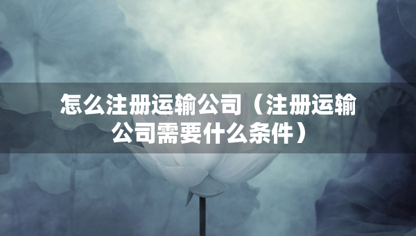 怎么注册运输公司（注册运输公司需要什么条件）