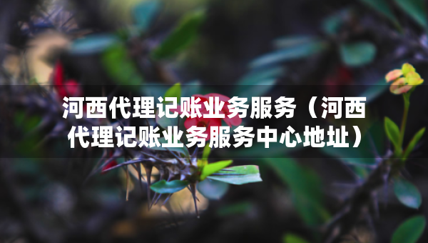 河西代理记账业务服务（河西代理记账业务服务中心地址）