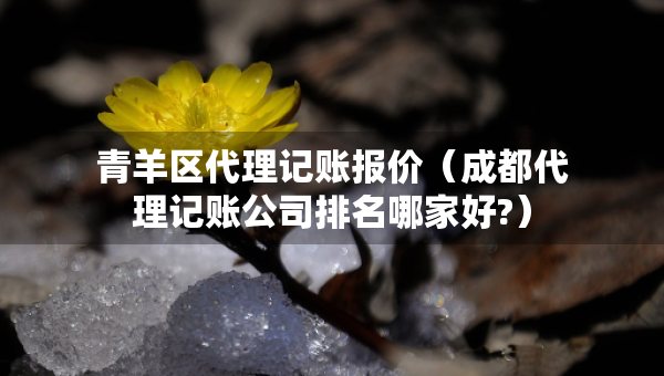 青羊区代理记账报价（成都代理记账公司排名哪家好?）
