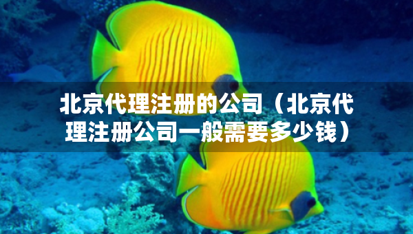北京代理注册的公司（北京代理注册公司一般需要多少钱）