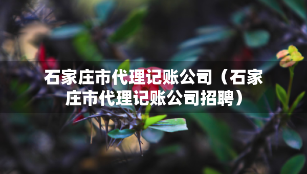 石家庄市代理记账公司（石家庄市代理记账公司招聘）