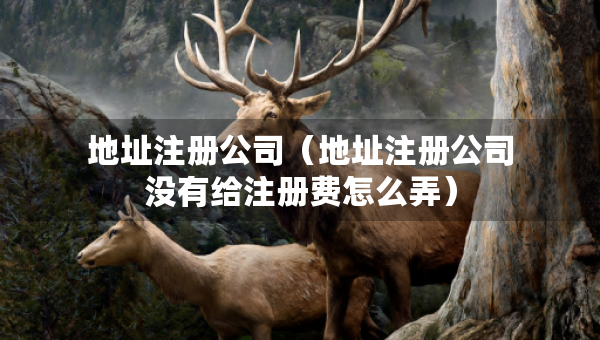 地址注册公司（地址注册公司没有给注册费怎么弄）