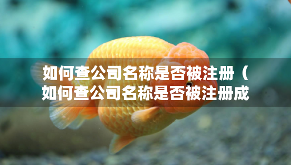 如何查公司名称是否被注册（如何查公司名称是否被注册成功）