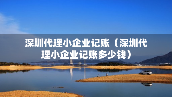 深圳代理小企业记账（深圳代理小企业记账多少钱）