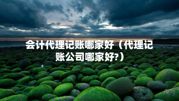 会计代理记账哪家好（代理记账公司哪家好?）