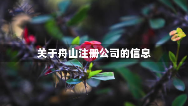 关于舟山注册公司的信息
