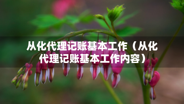 从化代理记账基本工作（从化代理记账基本工作内容）