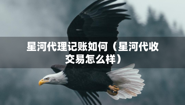 星河代理记账如何（星河代收交易怎么样）