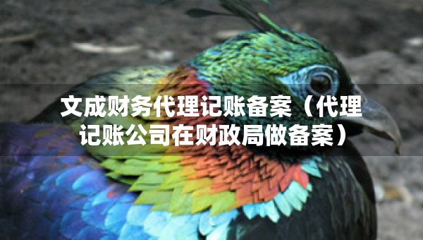 文成财务代理记账备案(代理记账公司在财政局做备案) 文成财务代理记账备案(代理记账公司在财政局做备案)