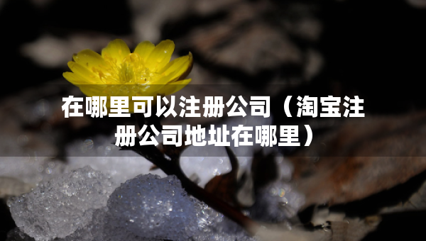 在哪里可以注册公司（淘宝注册公司地址在哪里）