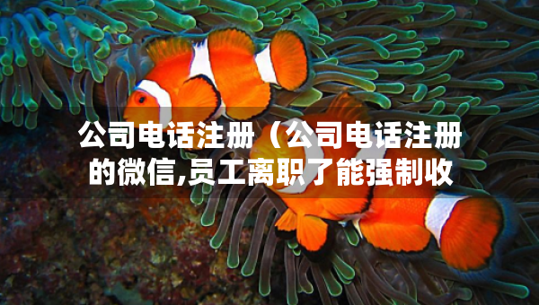 公司电话注册（公司电话注册的微信,员工离职了能强制收回吗）