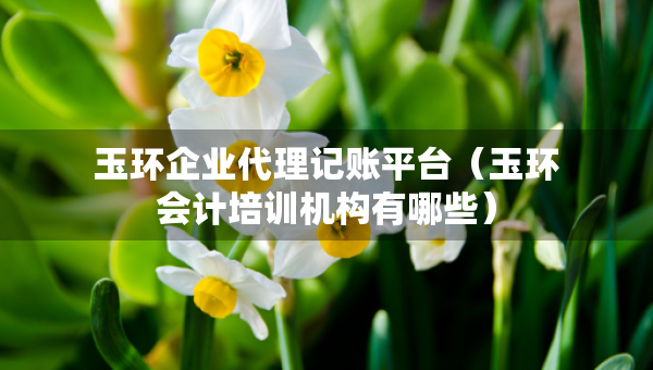 玉环企业代理记账平台（玉环会计培训机构有哪些）