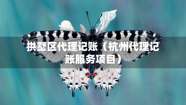 拱墅区代理记账（杭州代理记账服务项目）