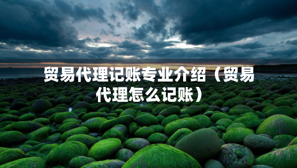 贸易代理记账专业介绍（贸易代理怎么记账）