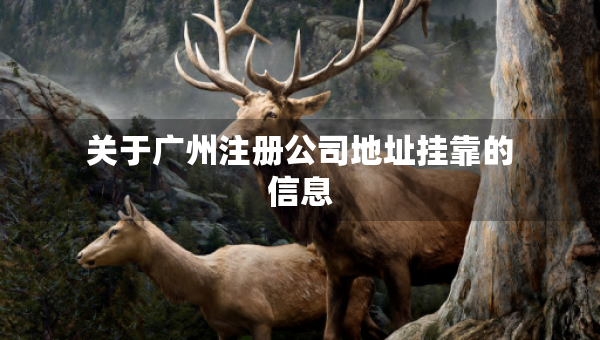 关于广州注册公司地址挂靠的信息