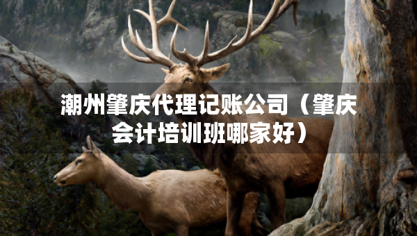 潮州肇庆代理记账公司（肇庆会计培训班哪家好）