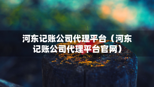 河东记账公司代理平台（河东记账公司代理平台官网）