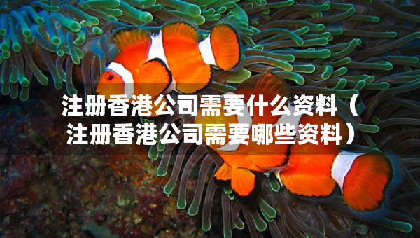注册香港公司需要什么资料（注册香港公司需要哪些资料）