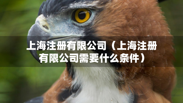 上海注册有限公司（上海注册有限公司需要什么条件）