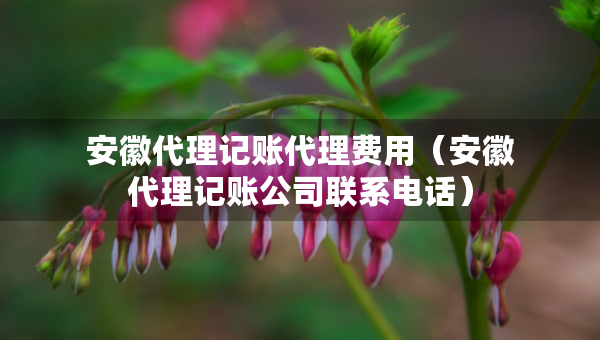 安徽代理记账代理费用（安徽代理记账公司联系电话）