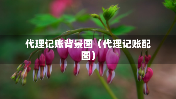 代理记账背景图（代理记账配图）