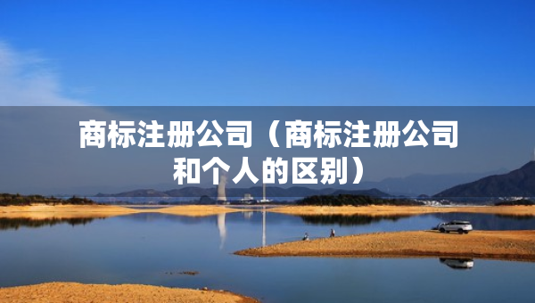 商标注册公司（商标注册公司和个人的区别）