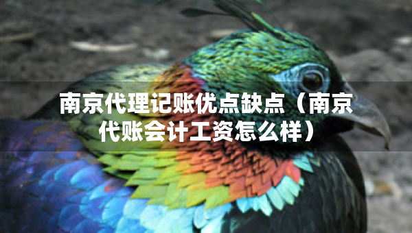 南京代理记账优点缺点（南京代账会计工资怎么样）