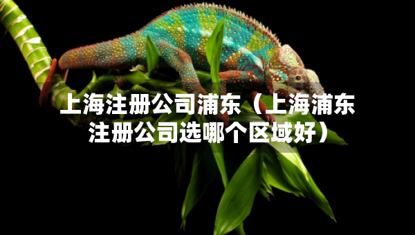 上海注册公司浦东（上海浦东注册公司选哪个区域好）