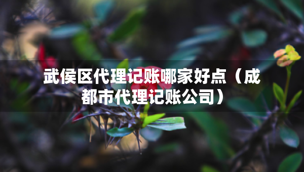 武侯区代理记账哪家好点（成都市代理记账公司）