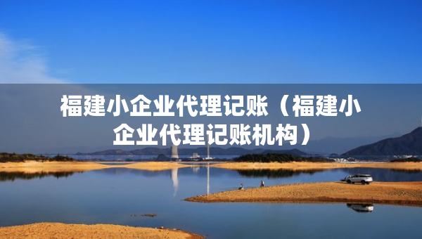 福建小企业代理记账（福建小企业代理记账机构）