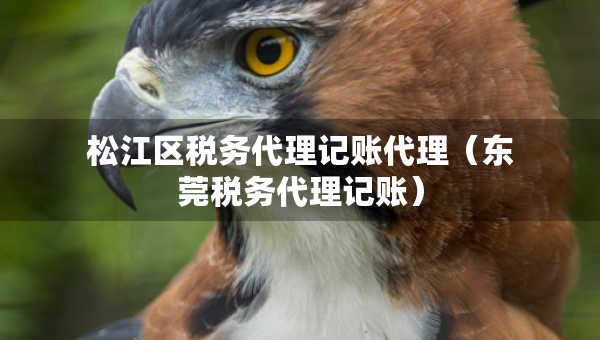 松江区税务代理记账代理（东莞税务代理记账）