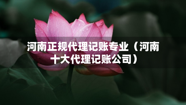 河南正规代理记账专业（河南十大代理记账公司）