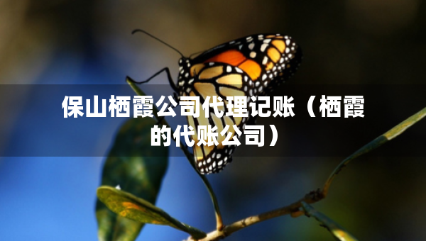 保山栖霞公司代理记账（栖霞的代账公司）